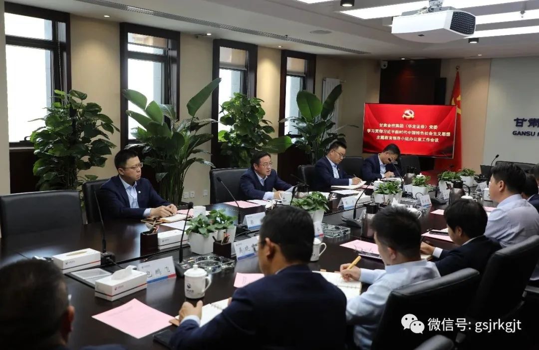 爱体育（中国）（华龙证券）党委主题教育领导小组办公室召开第二次工作会议